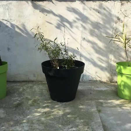 Maison Cosyrouen Gare Holiday home *